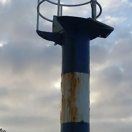 Cerca Del Pino